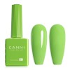 Canni HEMA FREE Light Green 9019 9ml