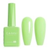 Canni HEMA FREE Light Green 9034 9ml