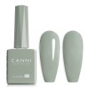 Canni HEMA FREE Gray Green 9036 9ml