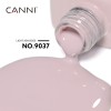Canni HEMA FREE Light Ash Rose 9037 9ml