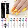 Canni Stamping Color Gel AC09 15g