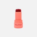 Elixir Tint Cheeks & Lips – 503