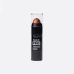 Elixir Face Pro Shimmer Stick 302