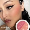 Mua Blushed Matte Blush Powder Duo Ginger 8gr