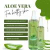 Pure Aloe Soothing Water 300ml – Νερό Αλόης Σε Σπρέι