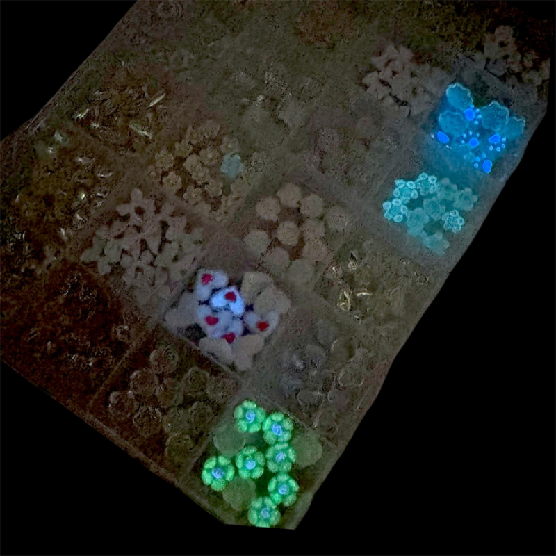 Charms Νυχιών 3D σε Κασετίνα 24 θέσεων no4