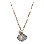 Κρεμαστό Λαιμού Κοχύλι Με Χρυσή Αλυσίδα