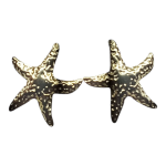 Σκουλαρίκια Γυναικεία Αστερίας Χρυσός